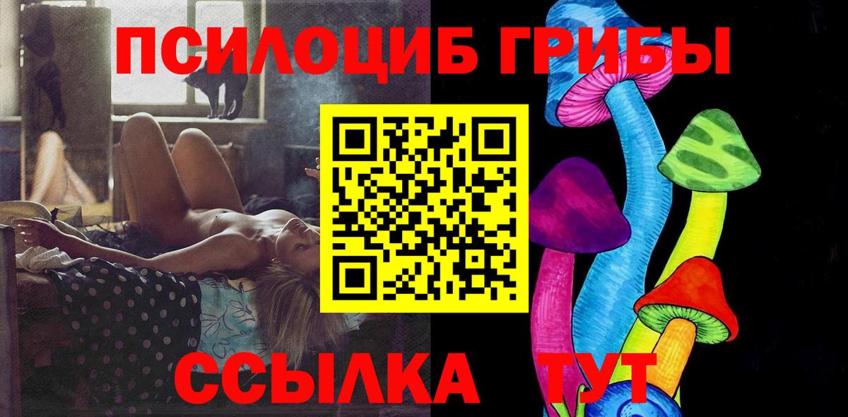 Галлюциногенные грибы Cubensis Карпинск